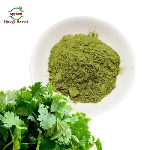Coriander Leaves Powder