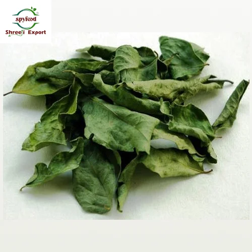 Curry Leaves